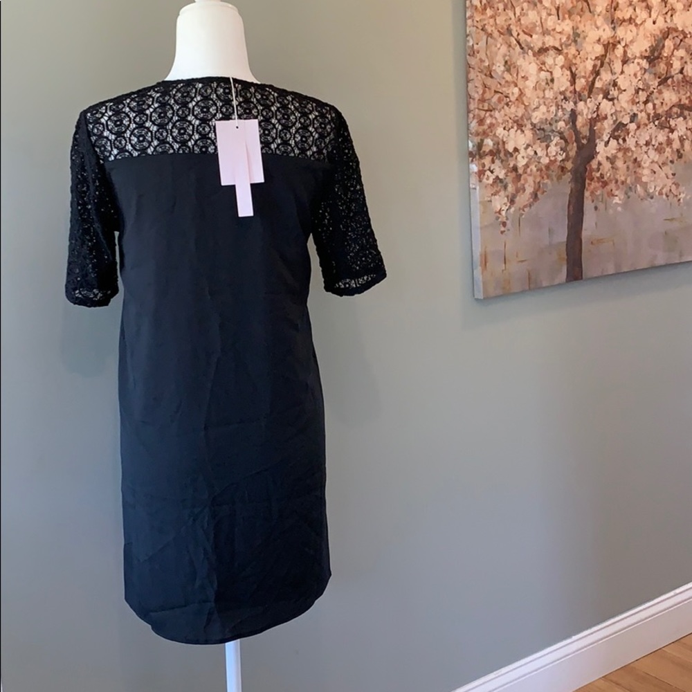 Avec Les Filles Lace Insert Mini Shift Dress - Picture 5 of 6
